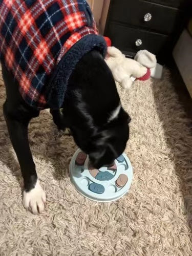 Aurum Paws IQ Puzzle Slow Feeder Bowl for Dogs and Cats