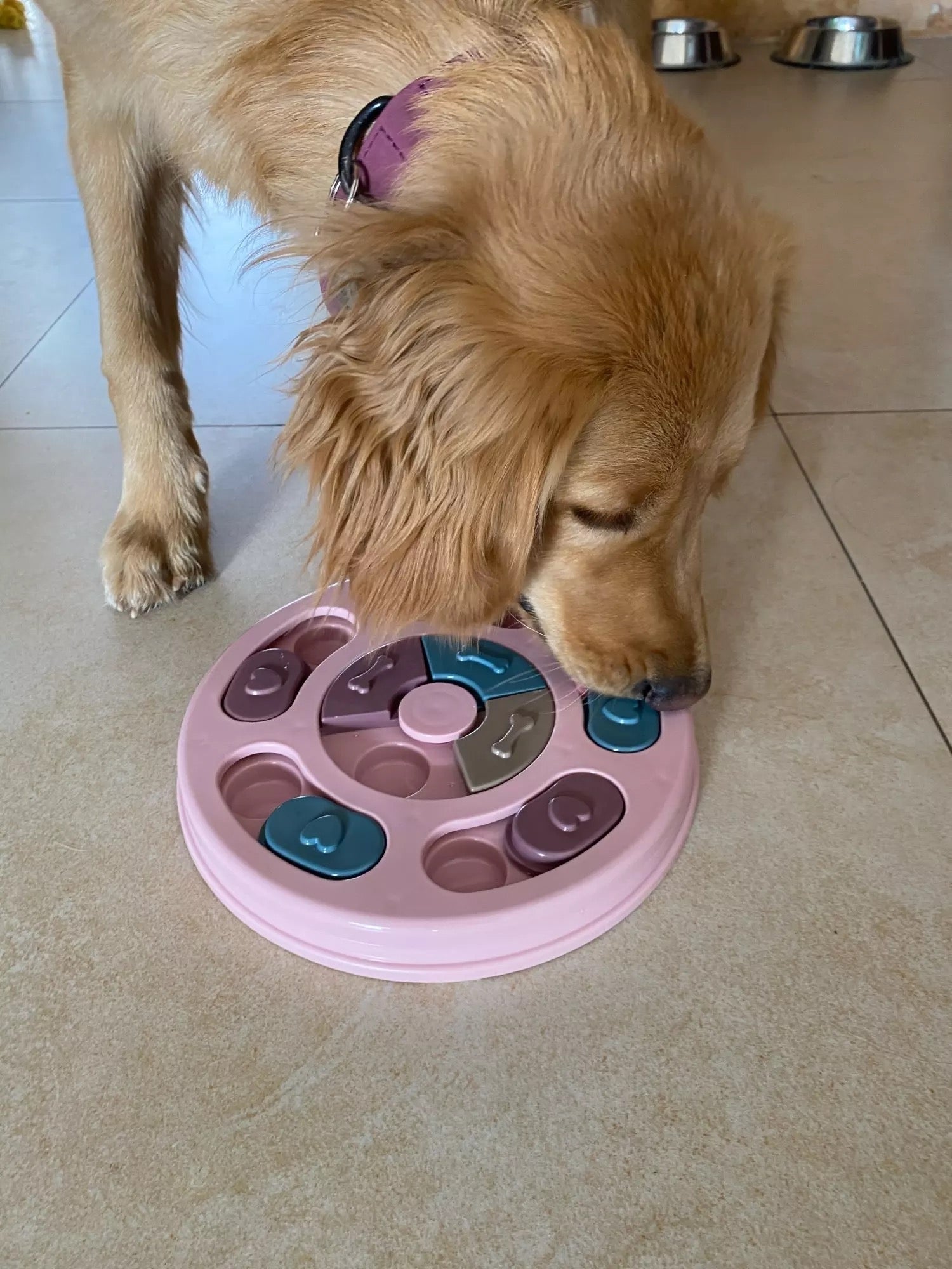 Aurum Paws IQ Puzzle Slow Feeder Bowl for Dogs and Cats