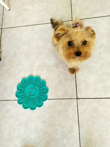 Aurum Paws Fish Shape Silicone Mat Slow Feeder For Pets