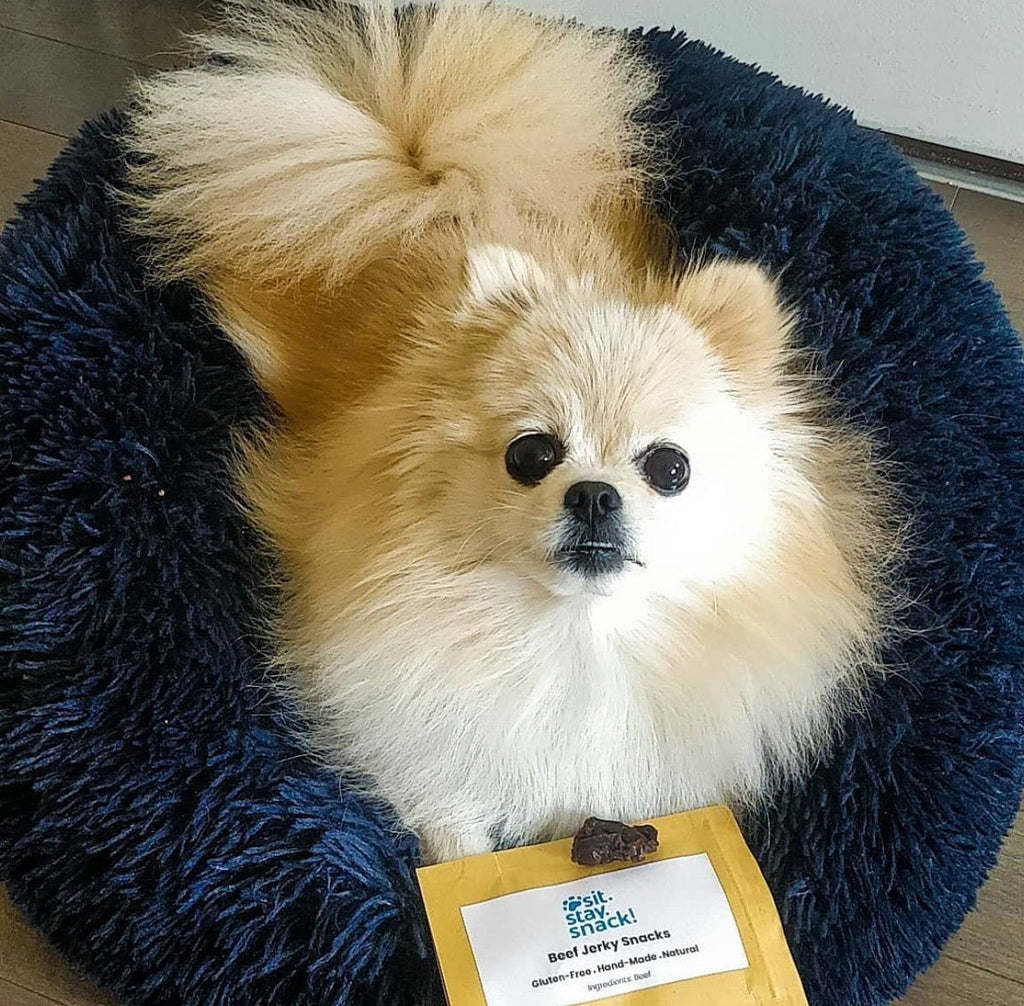 Aurum Paws Marshmallow Pets Bed