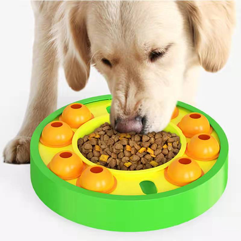 Aurum Paws Interactive Slow Feeder Puzzle Toy for Dogs
